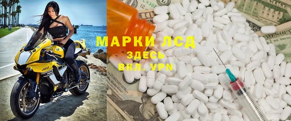индика Алзамай