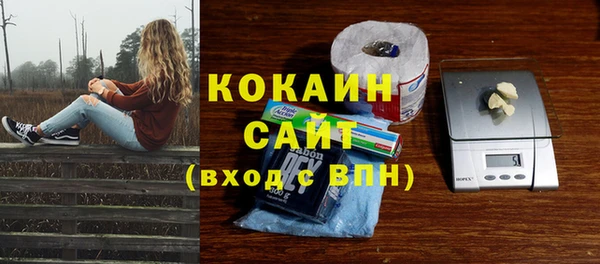 индика Алзамай