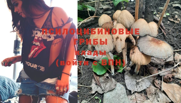 индика Алзамай