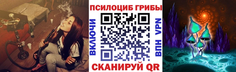 купить наркоту  Ставрополь  Псилоцибиновые грибы ЛСД 